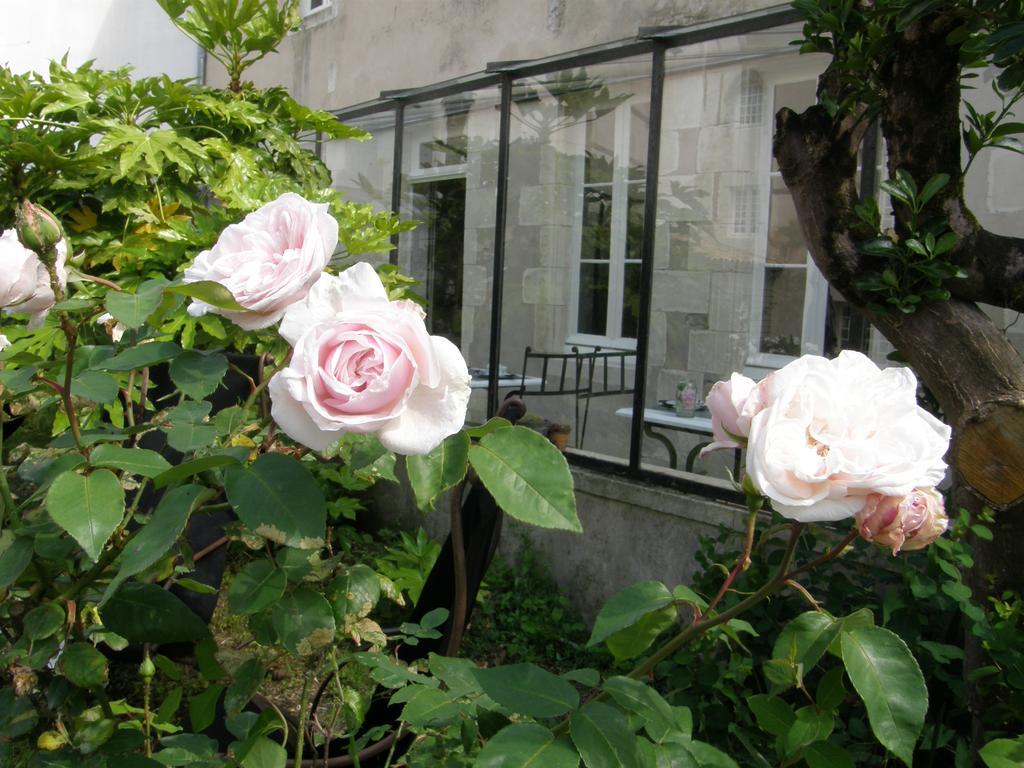 La Maison Douce Сен-Мартен-де-Ре Экстерьер фото